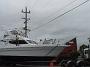 steber-mar09 014